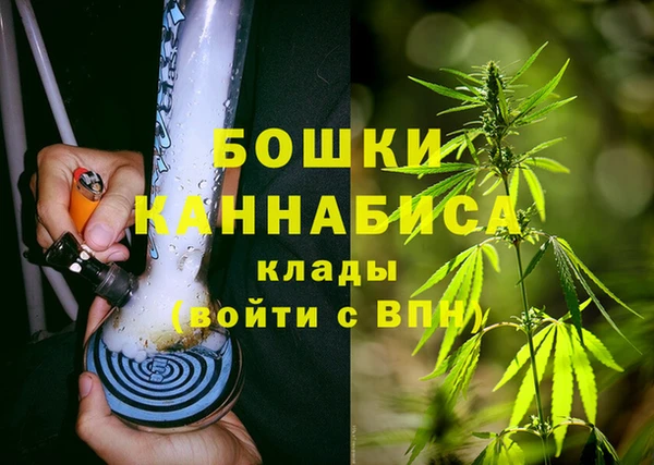 твердый Богородицк