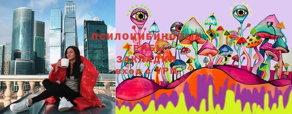 твердый Богородицк